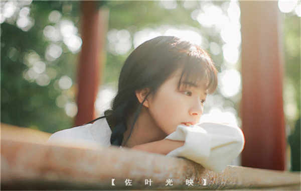 正镶白胎儿性别鉴定需要多少钱(胎儿性别鉴定的方法)